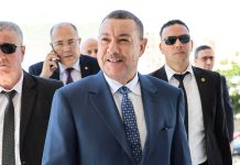 Réorganisation et spécialisation des infrastructures portuaires: Mostaganem met en service sa plateforme à conteneurs