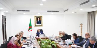Energies renouvelables: Adjal fait le point sur les projets algériens au Niger