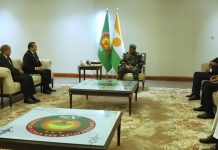 Pour dynamiser les investissements énergétiques: Arkab reçu par le Président Tiani et le Premier ministre Zeine à Niamey