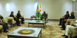 Pour dynamiser les investissements énergétiques: Arkab reçu par le Président Tiani et le Premier ministre Zeine à Niamey