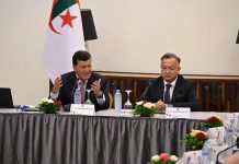 Création du Haut conseil de la communauté scientifique nationale à l’étranger: La vision stratégique du président de la République se concrétise sur le terrain