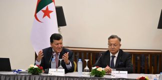 Création du Haut conseil de la communauté scientifique nationale à l’étranger: La vision stratégique du président de la République se concrétise sur le terrain
