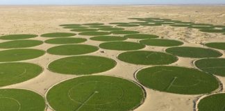 Agriculture saharienne: Le méga-projetalgéro-italien de Timimoun prend son envol