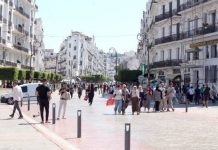 Marché de l’emploi: L’Algérie sur le podium arabe en volume de population active