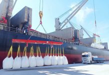 Commerce extérieur: 26 000 tonnes de ciment exportés vers les États-Unis