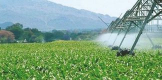Agriculture verte: La FAO fixe sept priorités face aux défis hydriques de l’Algérie