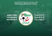 Algérie: Lancement prochain du 3e module de la formation fédérale des Directeurs techniques sportifs