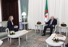 Audience: Le président de la République reçoit l’ambassadrice du Royaume des Pays-Bas en Algérie