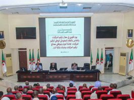 Immatriculation des véhicules: L’Algérie accélère la numérisation du système national