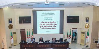Immatriculation des véhicules: L’Algérie accélère la numérisation du système national