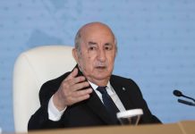 COP17 sur la diversité biologique: Le président Tebboune réaffirme son engagement pour la préservation du patrimoine naturel