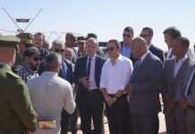 Projet «Baladna Algérie» à Adrar: 35 000 génisses importés des États-Unis attendus le 25 novembre