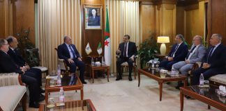 Energie: L’Algérie et l’APPO renforcent leur partenariat pour l’avenir énergétique africain