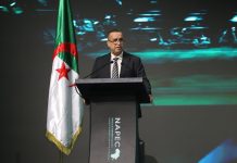 Hydrogène vert et 3 200 MW solaires: Adjal réaffirme les ambitions énergétiques et industrielles de l’Algérie