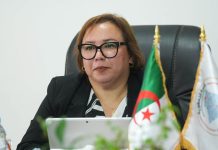 Devant la commission des finances et du budget de l’APN: Arkab dévoile les ambitions de son secteur