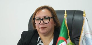 Devant la commission des finances et du budget de l’APN: Arkab dévoile les ambitions de son secteur