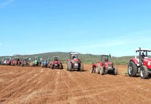 Lancement de la campagne labours-semailles 2026-2027: Plus de 104 000 hectares ciblés à Béjaïa, Bouira et Djelfa