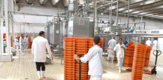 Filières animales et lait: Dernier délai au 31 octobre pour déposer les programmes d’importation 2027